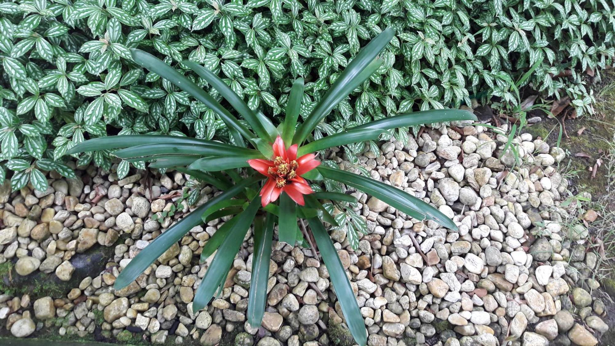 圣塞巴斯蒂安 Quintal Da Mata酒店 外观 照片